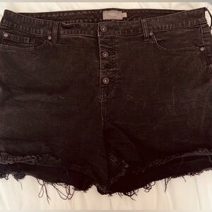 Torrid 5” Vintage Stretch High-Rise Black Denim Shorts - Size 22